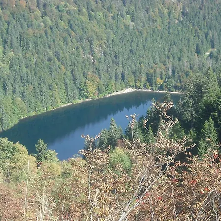 Apartament Bienek Schluchsee